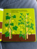 Собираем урожай (Развивающая 3D-книга) #3, Оксана М.