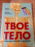 Твое тело. Как оно работает и меняется | Калтыгин Максим Владимирович #6, белоусова д.