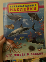 Комплект книг с познавательными наклейками #1, Светлана О.