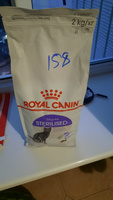 Royal Canin Sterilised Сухой корм для стерилизованных кошек 2 кг #19, Елена Г.