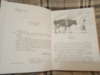 Мишкина война Карпенко В.Ф. Военное детство Детская литература Книги о войне 12 лет | Карпенко Виктор Федорович, Карпенко Виктор #8, Козырева Елена