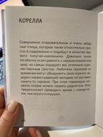 Давай поЧИРИКаем. Как понять язык попугая | Карагодина Юлия Александровна #8, Юлия С.