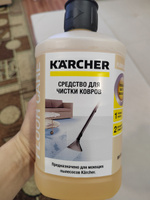 Химчистка мебели, ковров, сидений авто с помощью моющего пылесоса. Karcher RM 519, 1 л 6.295-771.0 #10, olga F.