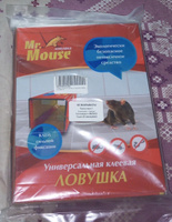 Клеевая ловушка Мистер Маус от грызунов и небольших змей 4 шт #7, Анастасия Ш.