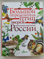 Большой определитель птиц, зверей, насекомых и растений России | Волцит Петр Михайлович, Пескова Ирина Михайловна #11, Карина Г.