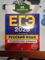 ЕГЭ-2025. Русский язык. Тренировочные варианты. 25 вариантов | Бисеров Александр Юрьевич #6, Евгений Б.