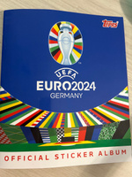 Наклейки EURO 2024 набор из 2 боксов #8, Ирина С.