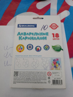 Карандаши цветные акварельные Brauberg Premium Aquarelle, 18 цветов, грифель 4 мм #31, Анна П.