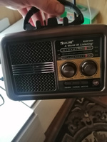 Радиоприемник с аккумулятором и фонариком GOLON RX-BT3600 Am/Fm/Sw/USB/MP3 #5, Айнур Х.
