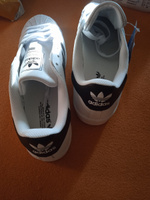 Кроссовки adidas Originals Superstar #29, Тамер С.