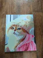 Картина по номерам "Котёнок в шапке", Холст на подрамнике, 40х50 см, Набор для творчества, Рисование, 40х50 см, Живопись "ТТ", с кошкой #91, Кристина А.