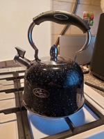 Чайник из нержавеющей стали со свистком Мерали для газовой электрической и индукционной плиты 3,5 л #64, Елена И.