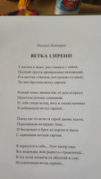 Цветы, души очарованье. В иллюстрациях Марии Павловой: стихи русских поэтов | Есенин Сергей Александрович #21, Татьяна П.