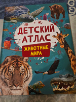 Детский атлас. Животные мира. Карты Энциклопедия для детей от 7 лет #3, Ольга Л.