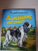 Домашние питомцы | Рени Патриция #1, Светлана К.