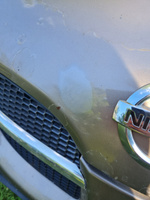 C30 (C30G) для Nissan Светло-коричневый металлик, Cafe Latte, аэрозольная автоэмаль в баллоне 520 мл #4, Артем Д.