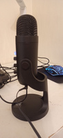 Микрофон для компьютера игровой Vita Musica, для стримов, студийный, для записи подкастов с подставкой #93, Мария С.