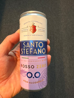 Шампанское безалкогольное Santo Stefano Rosso Zero, банка, объем 0,25Л - 6 шт #4, Роберт Г.