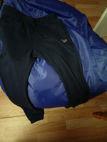 Брюки спортивные Reebok IDENTITY SMALL LOGO FLEECE JOGGER #1, Николай Н.