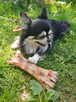 Лакомства Dog-Pet Запеченная говяжья кость для собак . Сделано в Карелии #2, Елена К.