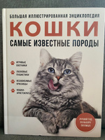 Самые известные породы. КОШКИ. Большая иллюстрированная энциклопедия | Ярощук Алина Игоревна #8, Юлия Ф.