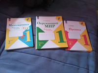 Школа России. 1 класс. 2024 год. Комплект рабочих тетрадей : прописи, математика, окружающий мир | Горецкий Всеслав Гаврилович, Моро Мария Игнатьевна #4, Ольга В.