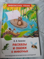 Рассказы и сказки о животных. Внеклассное чтение. Сказки с иллюстрациями для малышей | Бианки Виталий Валентинович #4, Ирина Е.