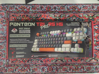 Клавиатура PANTEON T21 PRO RS HS Black-Grey-Ivory (66) (TKL 80%, подсветка LED RGB, Outemu Red, 87 кл, HotSwap, USB/Bluetooth/2,4 Ггц, ПО) #48, Евгений