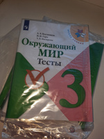 Окружающий мир. Тесты. 3 класс (Школа России) | Плешаков Андрей Анатольевич, Назарова Зоя Дмитриевна #5, Иванова Светлана