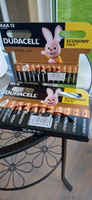 Duracell Батарейка AA, Щелочной тип, 1,5 В, 12 шт #74, Татьяна Г.