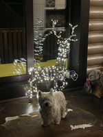 Светящийся олень Гэвин 124 см, 360 теплых белых LED ламп, IP44 #5, Мария Т.