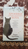 Хроники странствующего кота | Арикава Хиро #2, Андрей К.