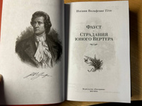 Фауст. Страдания юного Вертера | Гёте Иоганн Вольфганг #21, Богданов Алексей