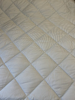 Одеяло 2 спальное Мягкий сон 172х205 см двухстороннее стеганое гипоаллергенное #4, Елена Ж.