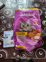 Сухой корм Whiskas Вкусные подушечки для кошек с курицей и индейкой, 1,9 кг. #18, Виктория Ш.