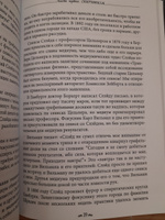 Истории о духовидцах: Иллюстрированные исследования феноменов спиритизма и теософии #8, Наталья Ю.