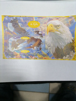 Набор марок #67 птицы Попугаи и Совы 12 блоков #7, Сергей С.