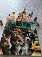 Книга для малышей (раннее развитие, 0+ лет) Милые домашние животные #5, Ирина Евгеньевна М.