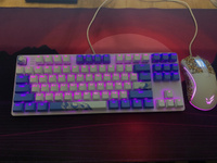 Игровая клавиатура Red Square Keyrox TKL Aquarius (RSQ-20036) G3ms Amber Switch белый/голубой Русская раскладка USB #52, Александр Х.