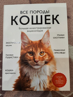 Все породы кошек. Большая иллюстрированная энциклопедия | Ярощук Алина Игоревна #6, No Name