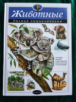 Животные. Полная энциклопедия | Школьник Юлия Константиновна #2, Ирина К.