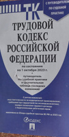 Трудовой кодекс 2024 (по сост. на 25.09.24) с таблицей изменений и с путеводителем по судебной практике. (ТК РФ 2024) #31, Юлия Г.