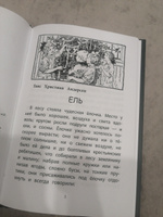 Зимние истории: Сказки зарубежных писателей. Книга сказок для детей #3, Эльмира А.