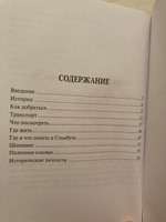 Путеводитель по Стамбулу.Путеводитель. | Шуббе В. #1, Алина