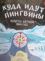 Куда идут пингвины: маршруты миграции животных | Тёрнер Трейси #7, Тамара