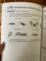 Биология 8 класс. Рабочая тетрадь | Демичева Ирина Александровна #4, Кристина Ч.