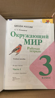 Плешаков А.А. Окружающий мир 3 класс Рабочая тетрадь в 2-х частях (Комплект) Школа России | Плешаков Андрей Анатольевич #2, Вергилия А.