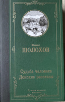 Судьба человека. Донские рассказы | Шолохов Михаил Александрович #1, Наталья Ч.