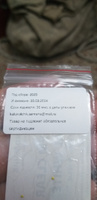 Алиссум Clear Crystal White семена 10 шт. #21, Татьяна М.