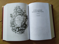 Фауст. Страдания юного Вертера | Гёте Иоганн Вольфганг #3, Елена М.